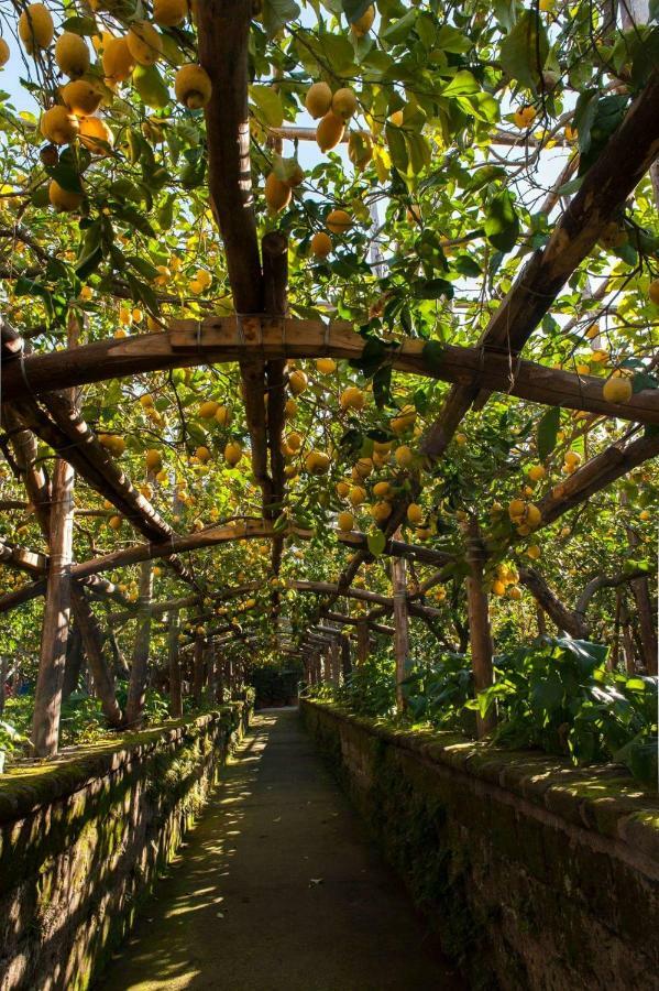 I Giardini Di Cataldo Sorrento Villa Luaran gambar